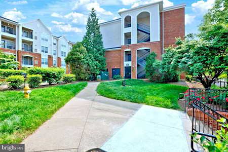 4850 Eisenhower Ave #427 Alexandria, VA 22304
