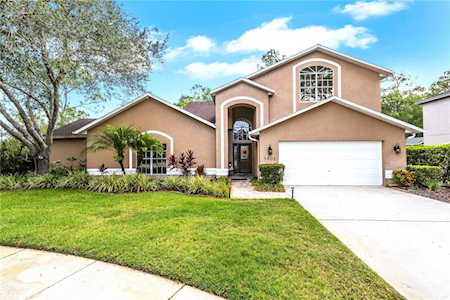 5801 Windermere Dr Palm Harbor, FL 34685