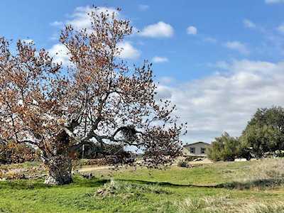 20321 Hwy 76 Pauma Valley, CA 92061