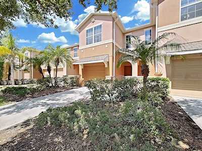 2955 Birchcreek Dr Wesley Chapel, FL 33544