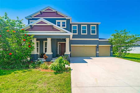 3196 Gina Ct Holiday, FL 34691