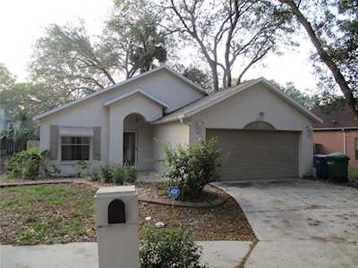 8725 Busch Oaks St Tampa, FL 33617