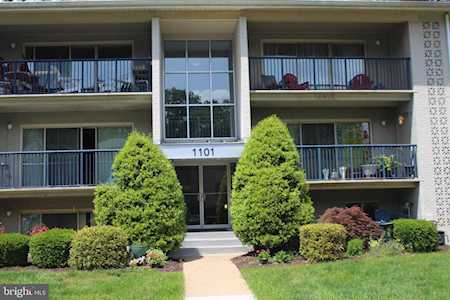 1101 Primrose Ct #203 Annapolis, MD 21403