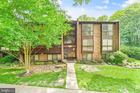 11560 Rolling Green Ct #301 Reston, VA 20191