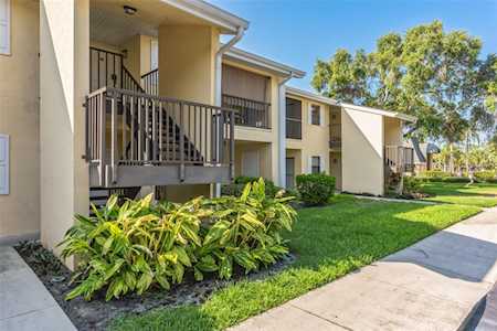 3001 58th Ave S #208 St. Petersburg, FL 33712
