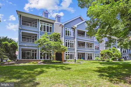 1131 Lake Heron Dr #1B Annapolis, MD 21403