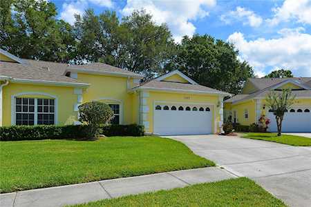 1165 Royal Blvd Palm Harbor, FL 34684
