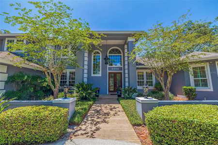 3360 Meadow View Ln Palm Harbor, FL 34683