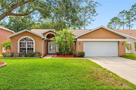 5619 Walkingstick Ln Wesley Chapel, FL 33543