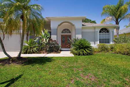 2456 Appaloosa Trl Palm Harbor, FL 34685
