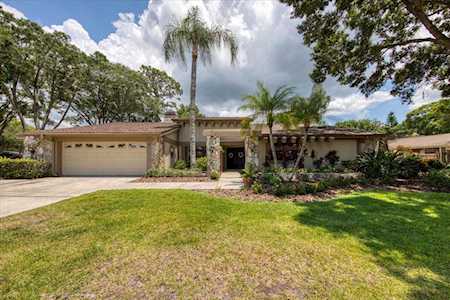 3332 Pattie PLACE Palm Harbor, FL 34685