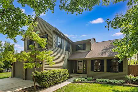 6439 Briarcliff Ct Lisle, IL 60532