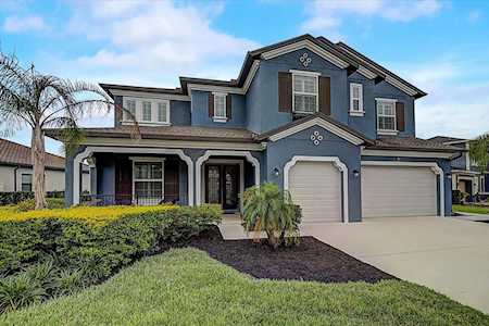 18317 Leafmore St Lutz, FL 33548