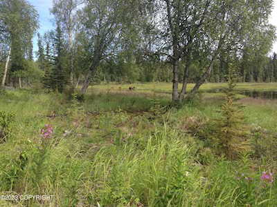 49395 Irish Hills Ave Kasilof, AK 99610