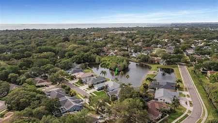 210 Water View Ct Safety Harbor, FL 34695