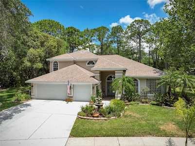 2339 Warwick Dr Oldsmar, FL 34677