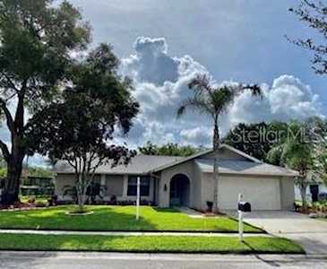 9820 Stephenson Dr New Port Richey, FL 34655