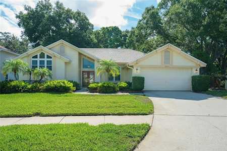 2829 Spring Oak Ct Palm Harbor, FL 34684