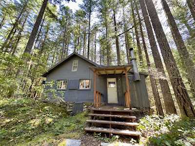 78542 E Road 32 #Lt 26 Government Camp, OR 97028