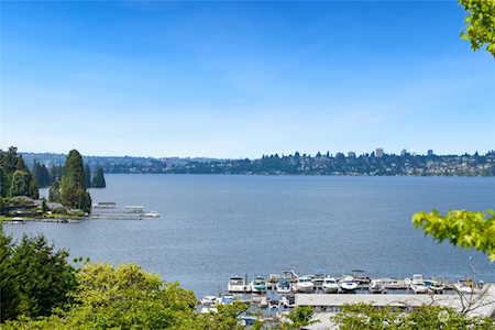 4515 102nd Ln NE #41 Kirkland, WA 98033