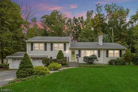 50 Afton Dr Florham Park Boro, NJ 07932
