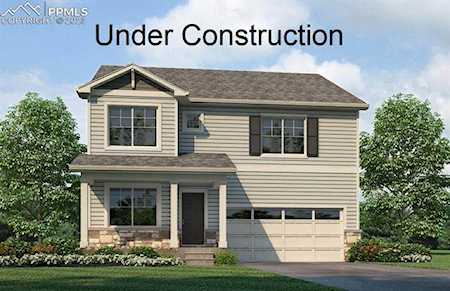 16414 Alpine Sorrel Drive Monument, CO 80132