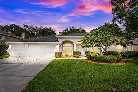 18545 Bittern Ave Lutz, FL 33558