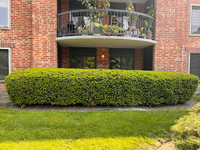 1515 E Central Rd #162B Arlington Heights, IL 60005