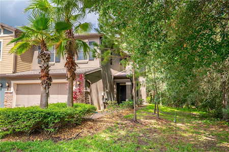 17259 Old Tobacco Rd Lutz, FL 33558
