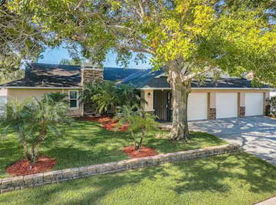 1280 Ridgegrove Dr S Palm Harbor, FL 34683