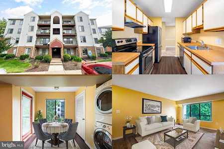 8465 Crozier Ct #303 Manassas, VA 20110