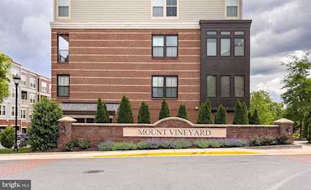 3985 Norton Place #106 Fairfax, VA 22030