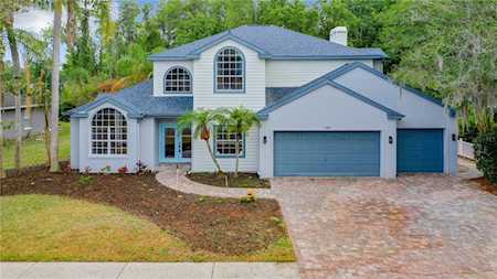 1625 Percheron Dr New Port Richey, FL 34655