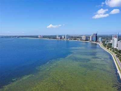 2413 Bayshore Blvd #805 Tampa, FL 33629