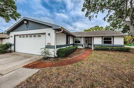 1031 Persimmon Dr Palm Harbor, FL 34683