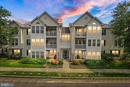 7512K Snowpea Ct #142 Alexandria, VA 22306