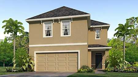33552 Barberry Leaf WAY Wesley Chapel, FL 33543