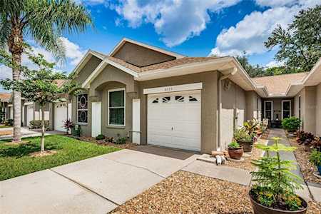 4375 Brooker Creek Dr Palm Harbor, FL 34685