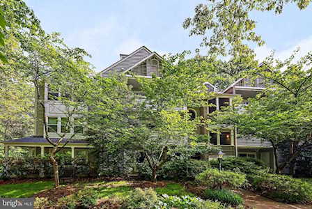 7718 Lafayette Forest Dr #34 Annandale, VA 22003