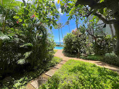 3875 Lower Honoapiilani Rd #B-101 Lahaina, HI 96761