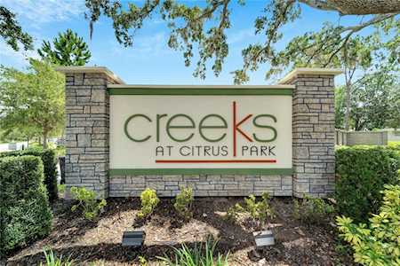 13201 Canopy Creek Dr Tampa, FL 33625