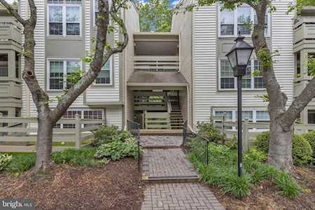 11717 Karbon Hill Ct #704F Reston, VA 20191