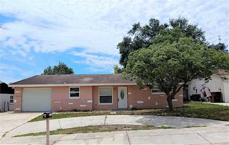 7337 Donegal St New Port Richey, FL 34653
