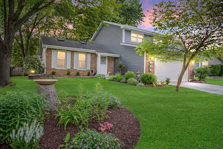 342 Terrace Dr Bartlett, IL 60103