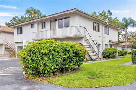 1831 Bough Ave #4 Clearwater, FL 33760