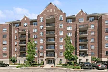 390 W Mahogany Ct #602 Palatine, IL 60067