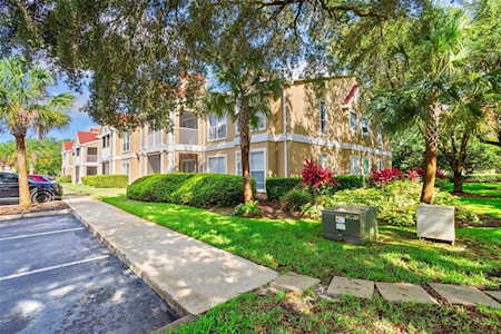 9481 Highland Oak Dr #614 Tampa, FL 33647