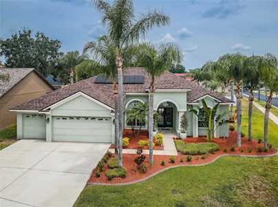 1297 Jasmine Lake Dr Tarpon Springs, FL 34689