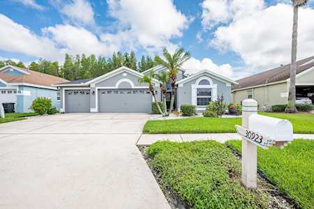 30923 Iverson Dr Wesley Chapel, FL 33543