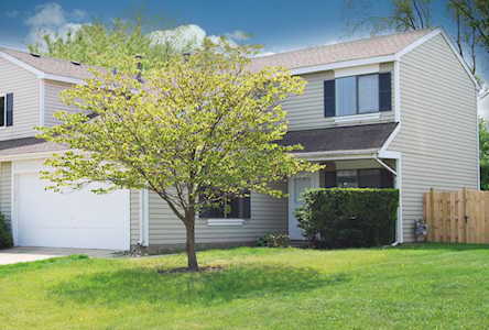 41 Buckingham Ln Buffalo Grove, IL 60089